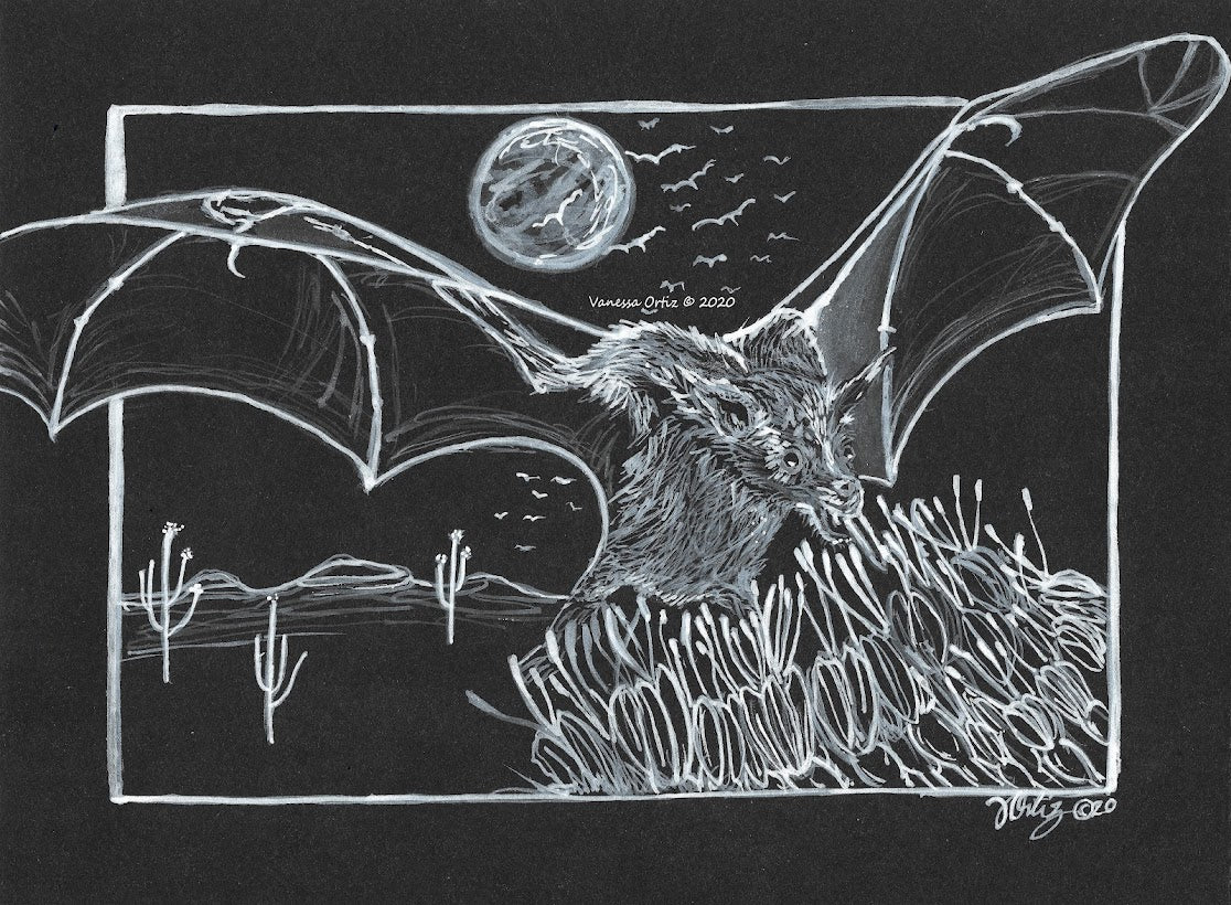 Bats at Night Original - Zapata Fine Art