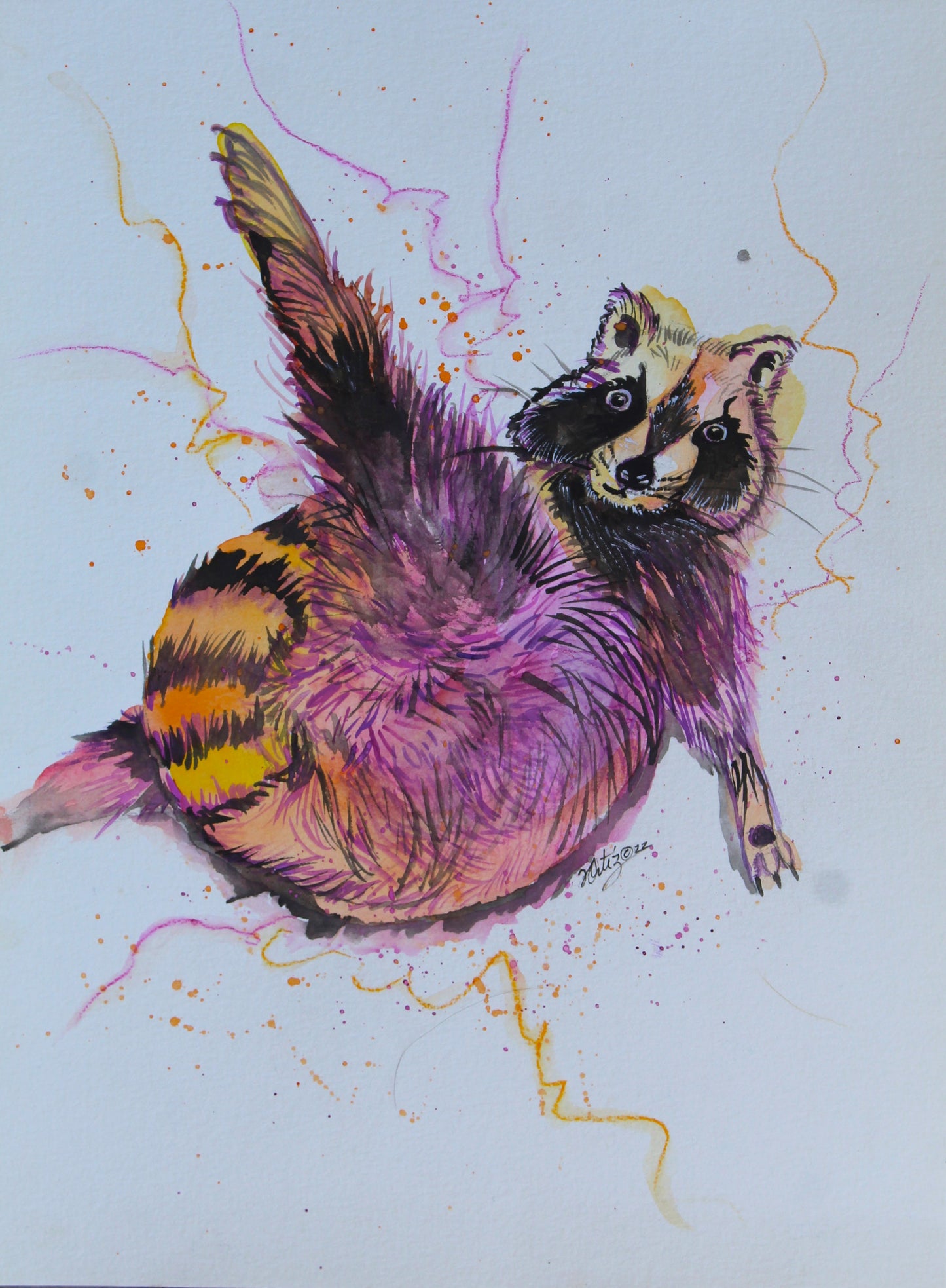 Colorful illustration of a raccoon on a light blue background