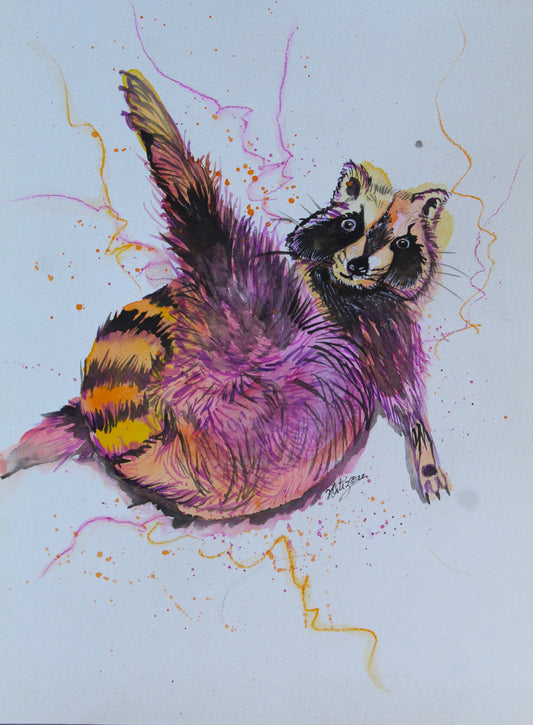 Colorful illustration of a raccoon on a light blue background