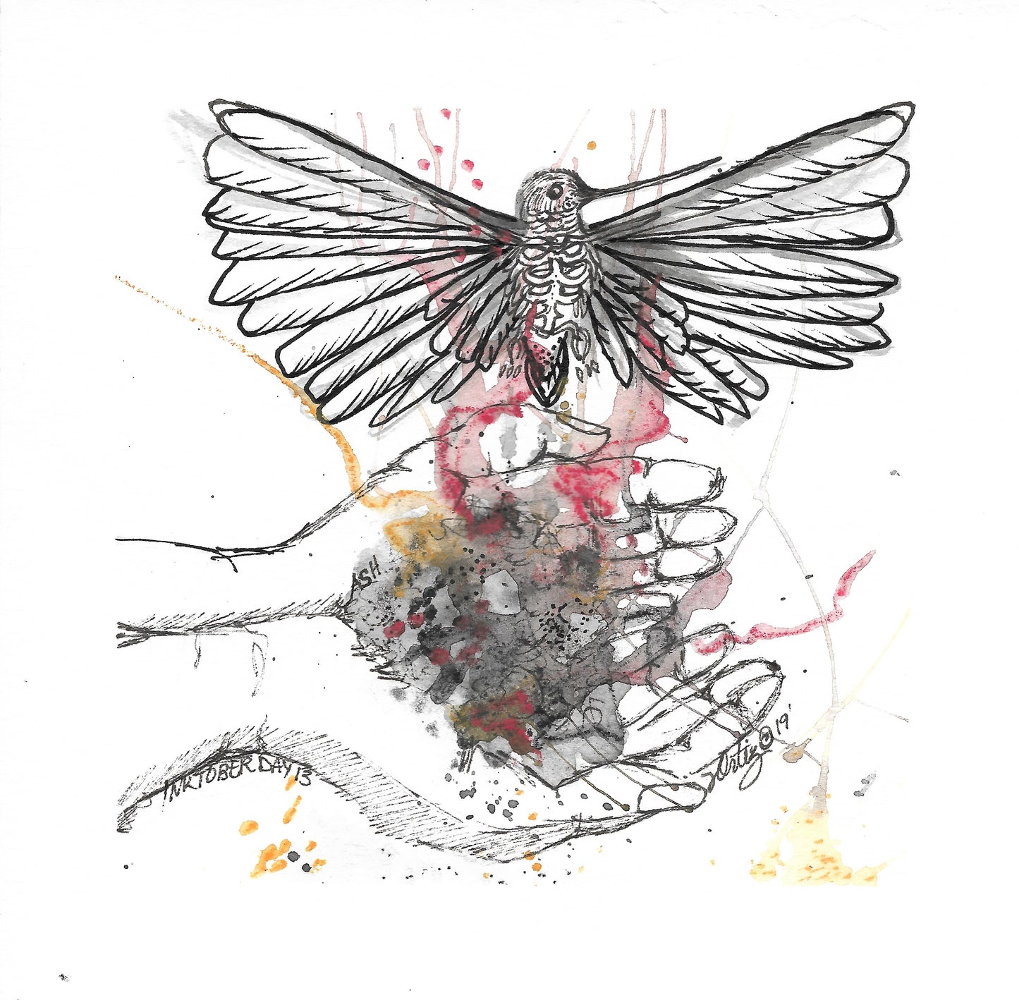 Inktober Humming Birds