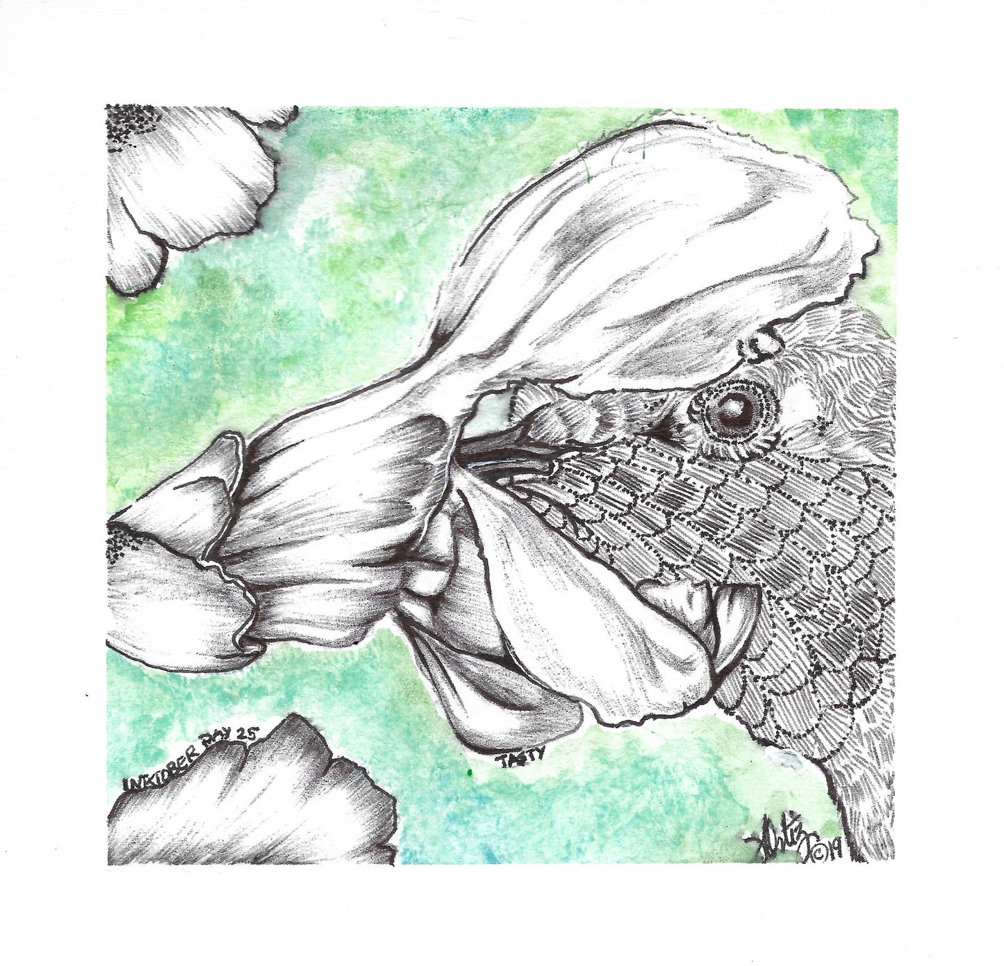 Inktober Humming Birds