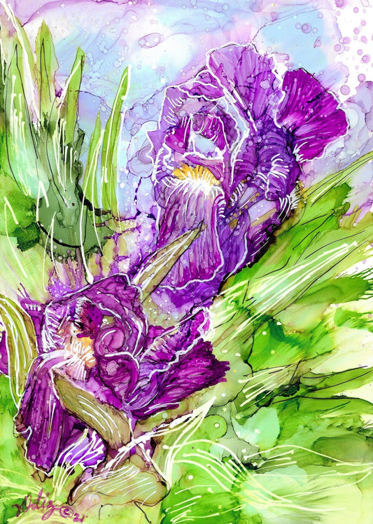 Sedona Irises Original - Zapata Fine Art