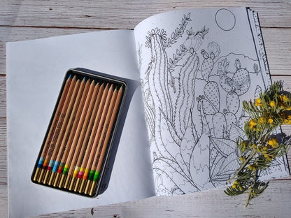 Desert Life Reenergize Coloring Book - Zapata Fine Art